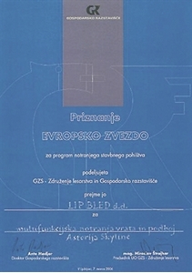 Picture of 1. nagrada Evropska zvezda 2006 - multifunkcijsko krilo in podboj SKYLINE